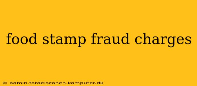 food stamp fraud charges