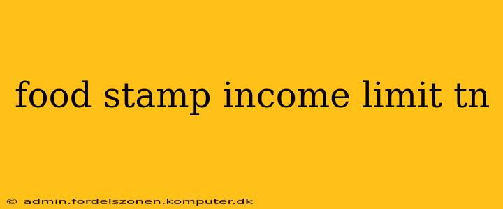 food stamp income limit tn