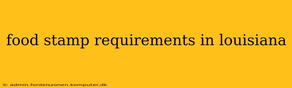 food stamp requirements in louisiana