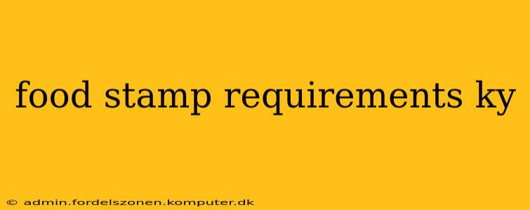 food stamp requirements ky