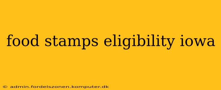 food stamps eligibility iowa