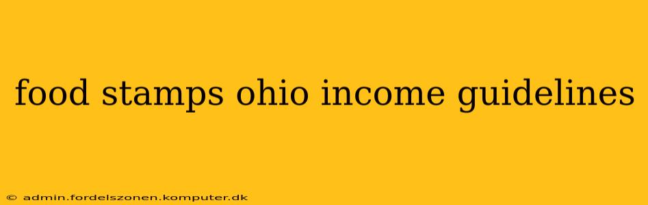 food stamps ohio income guidelines