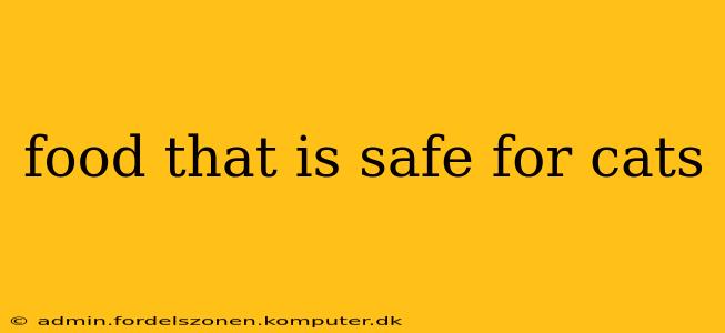 food that is safe for cats