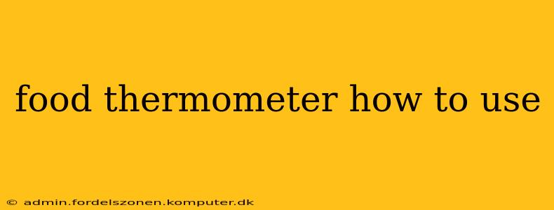 food thermometer how to use