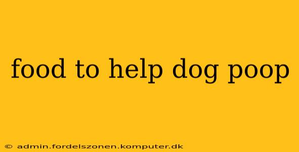 food to help dog poop