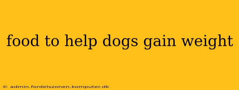food to help dogs gain weight