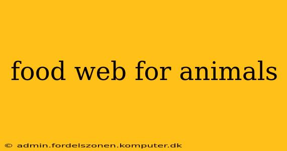 food web for animals