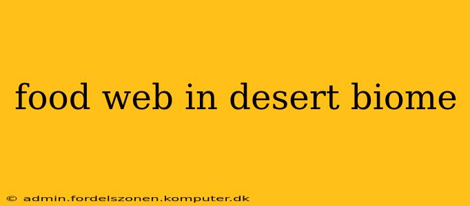 food web in desert biome