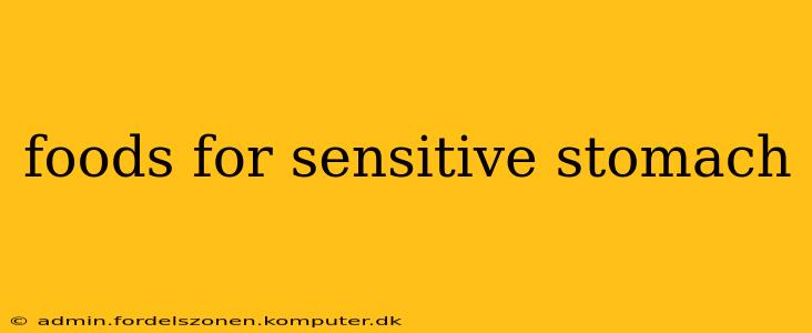 foods for sensitive stomach