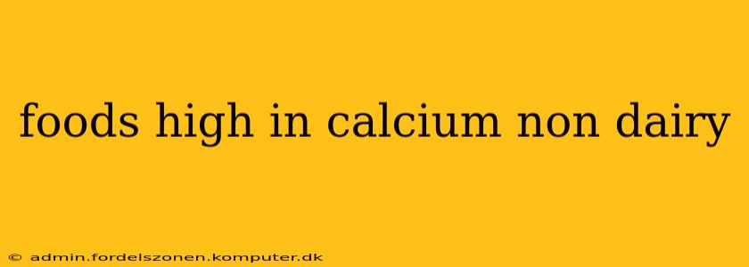 foods high in calcium non dairy