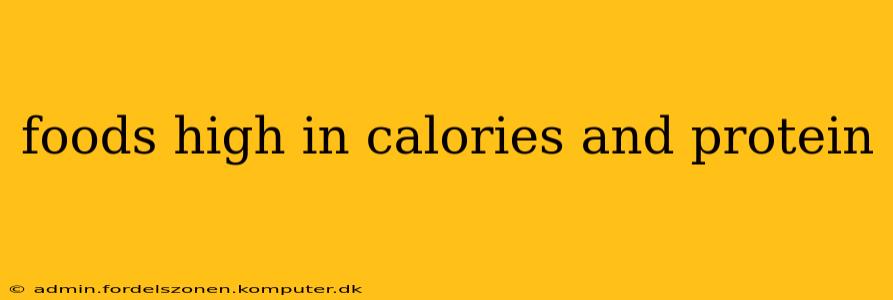foods high in calories and protein