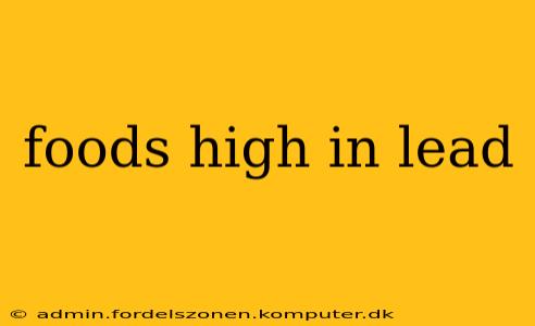 foods high in lead