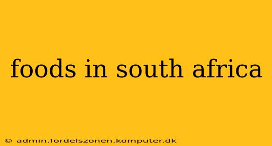 foods in south africa