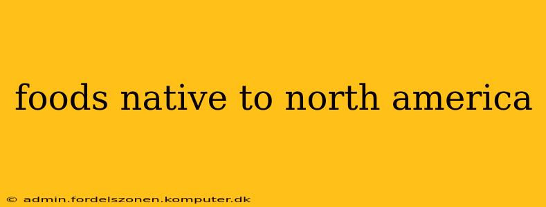 foods native to north america