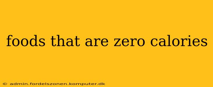 foods that are zero calories