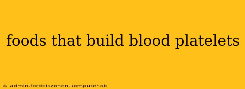foods that build blood platelets