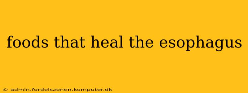 foods that heal the esophagus