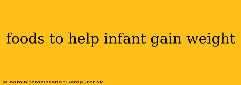 foods to help infant gain weight