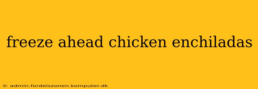 freeze ahead chicken enchiladas