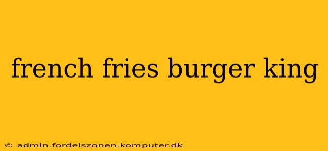 french fries burger king