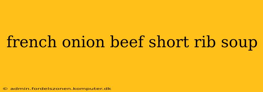 french onion beef short rib soup