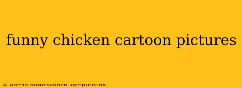 funny chicken cartoon pictures