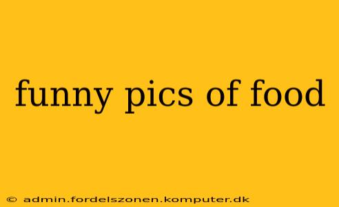 funny pics of food