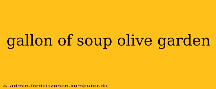 gallon of soup olive garden