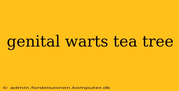genital warts tea tree