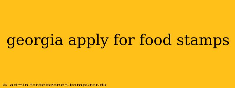 georgia apply for food stamps