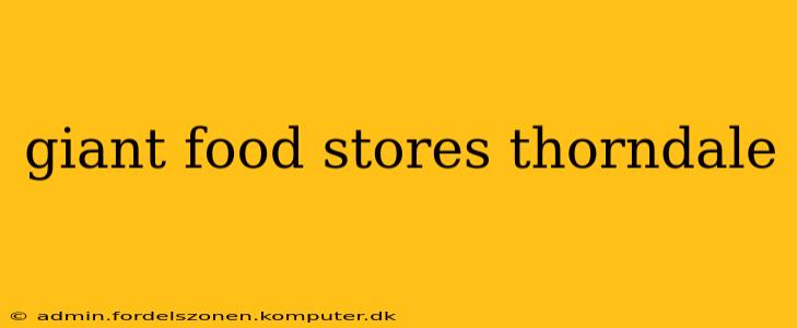 giant food stores thorndale