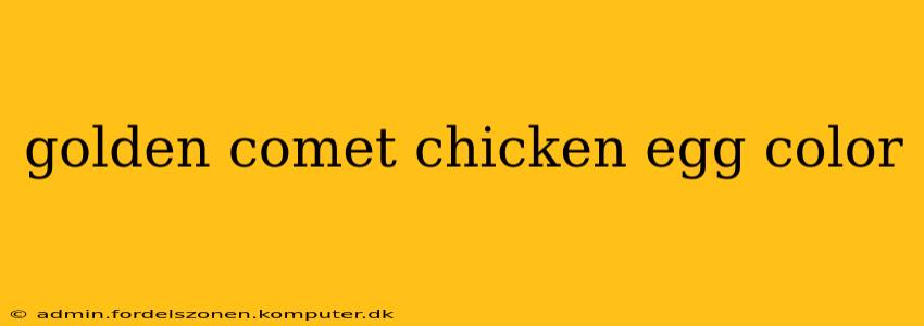 golden comet chicken egg color