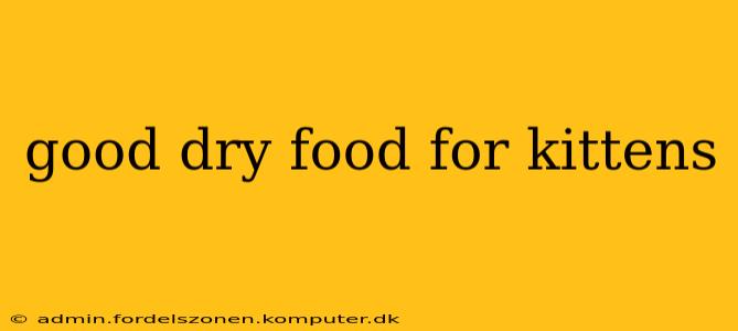 good dry food for kittens