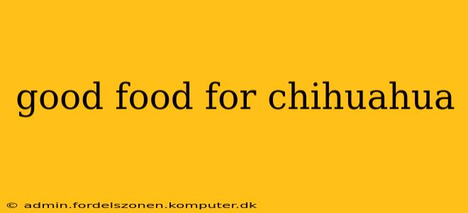 good food for chihuahua