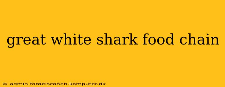 great white shark food chain