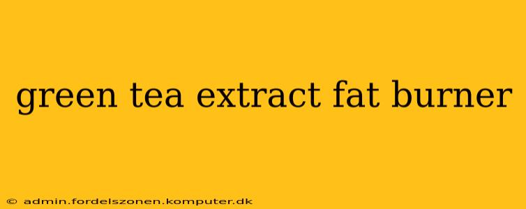 green tea extract fat burner