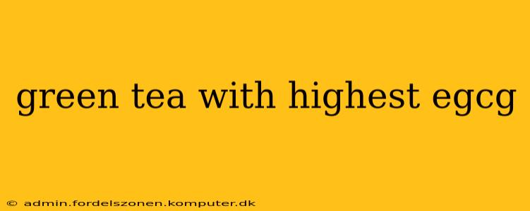 green tea with highest egcg