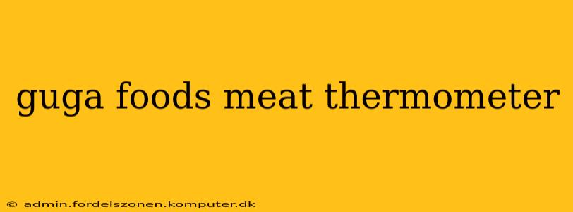 guga foods meat thermometer