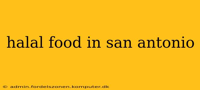 halal food in san antonio