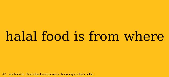 halal food is from where