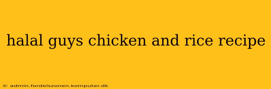 halal guys chicken and rice recipe