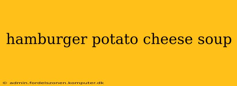 hamburger potato cheese soup