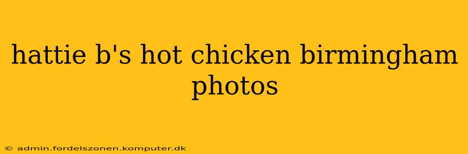 hattie b's hot chicken birmingham photos