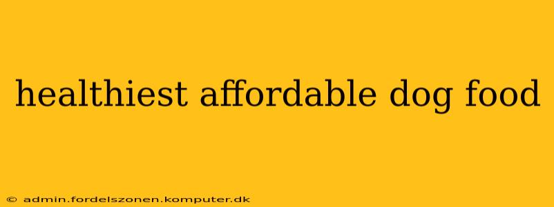 healthiest affordable dog food