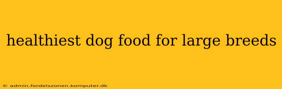 healthiest dog food for large breeds