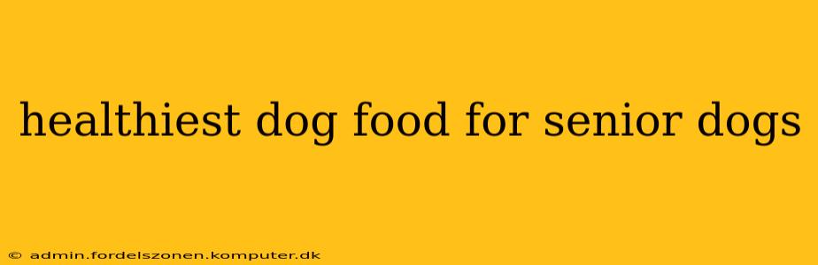 healthiest dog food for senior dogs
