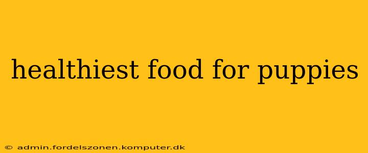 healthiest food for puppies