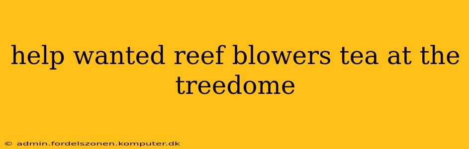 help wanted reef blowers tea at the treedome