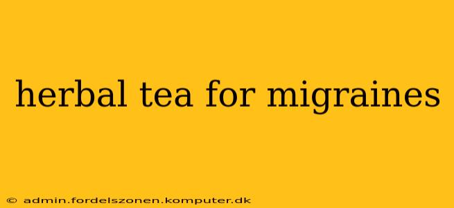 herbal tea for migraines