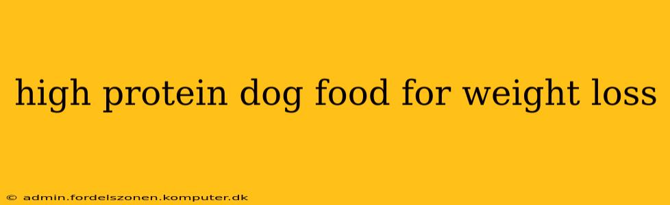 high protein dog food for weight loss